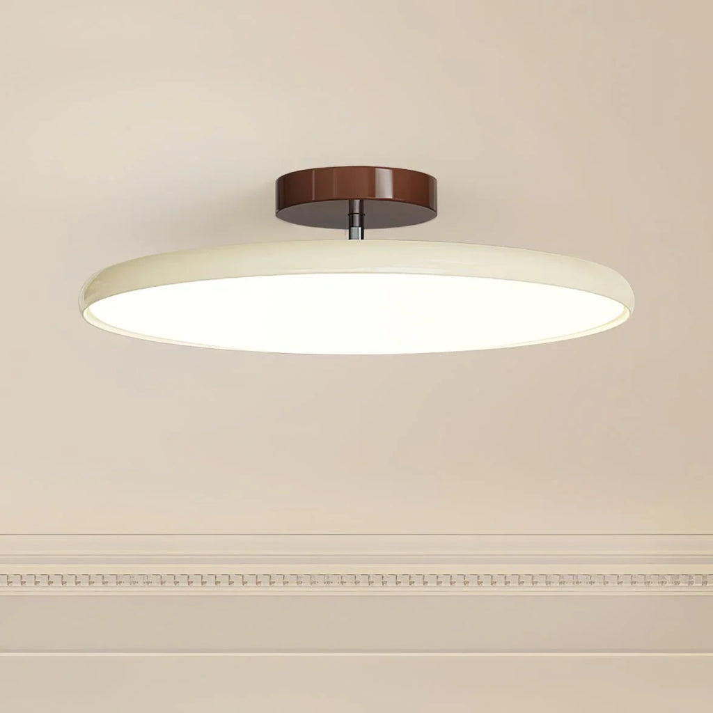 Drift Adjustable Ceiling Light