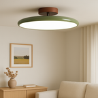 Drift Adjustable Ceiling Light