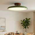 Drift Adjustable Ceiling Light