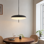 Danish Bauhaus Pendant Light