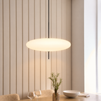 Danish Bauhaus Pendant Light