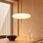 Danish Bauhaus Pendant Light
